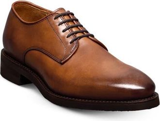 Allen Edmonds Ramsey Derby in Walnut at Nordstrom, Size 11.5