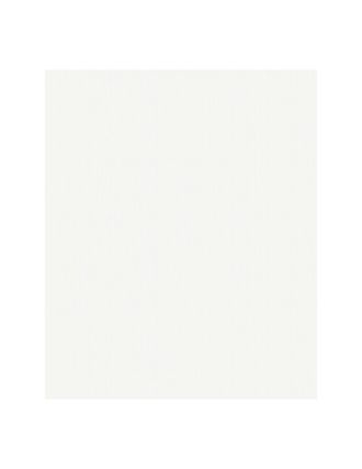 OEM 3004 Patent Wand Wan 10,05x0.53m5,33m&sup2; Pr&eacute;peint - Decorama