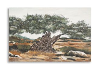 Mauro Ferretti Cuadro Sobre Lienzo Olivo -b- Cm 120x3,8x80