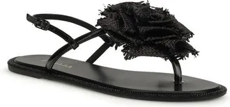 Le Silla Womens Black Calf Leather Bos Taurus Flat Sandals