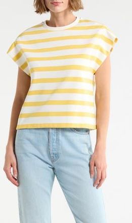 Daniel Rainn Stripe Cap Sleeve Top in Ivory/Yellow at Nordstrom Rack, Size X-Large