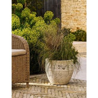 Garden Trading Haberton Planter Flower Tree Shrub Plant Pot 40.5cm White