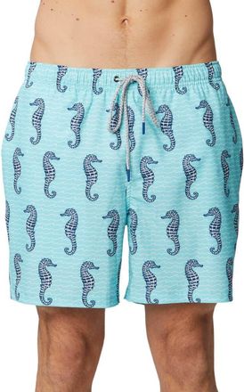 Rainforest Curled Tails Seahorse Stretch Swim Trunks in Aruba Blue at Nordstrom Rack, Size X-Large