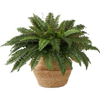 Nearly Natural 23-in Artificial Boston Fern Plant with Handmade Jute & Cotton Basket DIY KIT in Green at Nordstrom
