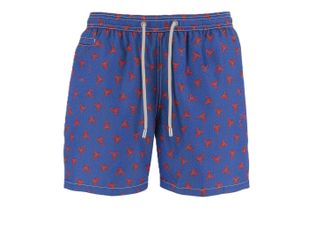 MC2 Saint Barth Blue Lighting Micro Fantasy Swim Shorts