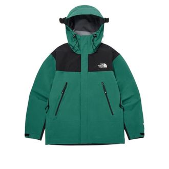 The North Face Gore-Tex Mountain 3L Jacket Green Black NJ2GQ01C