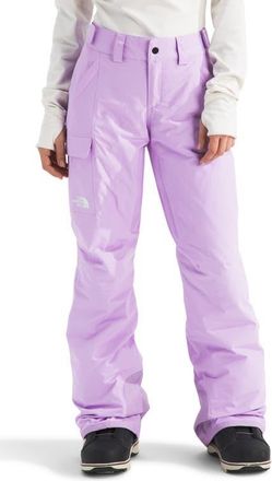 The North Face Freedom Waterproof Insulated Pants in Lite Lilac at Nordstrom, Size Xx-Large