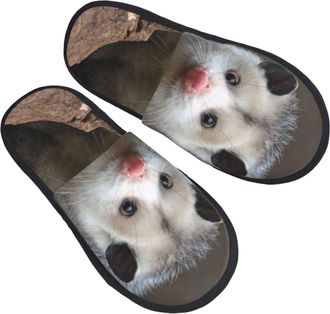 Generic Slippers Possum Hissing Unisex Plush Slippers Warm Anti-Slide Slipper For Winter Men Room M