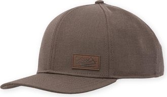 Pistil Dennis Cap Brown