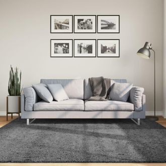vidaXL Alfombra De Pelo Corto Oviedo Gris Antracita 200x200 Cm Vidaxl