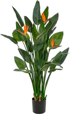 Baq Lebensechte Kunstpflanze Strelitzia Tuft ø 75/ Höhe 150 cm