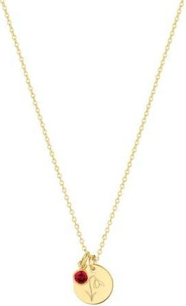 Set & Stones Lily Birth Flower and Birthstone Necklace in Gold /January at Nordstrom
