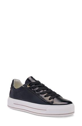 Ara Carol Sneaker in Black at Nordstrom, Size 10.5