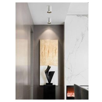 Trade Shop Trade Shop Traesio - Trade Shop - Faretto Plafoniera Soffitto 20w Applique Cilindro Led Cob Vari Toni Luce F20w-5b
