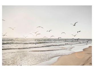 Schubiger M&ouml;bel Digitaldruck auf Glas M&ouml;wen &Uuml;ber Dem Meer