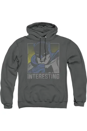 Gildan DC Comics Interesting Adult Pull Over Hoodie / Hooded Sweatshirt