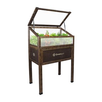 OEM Mini Invernadero Greenspot Con Cubierta Para Balc&oacute;n Y Terraza 80x45x120 Cm - Invernadero Sobre Plataforma De Madera, Bancal Elevado De Madera, Marco F