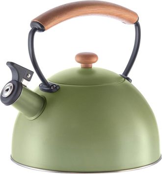 Oggi Stainless Steel 1.9L Whistling Tea Kettle