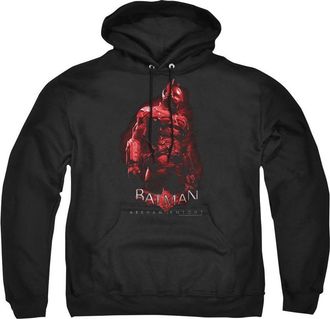 Gildan Batman Arkham Knight Knight Adult Pull Over Hoodie / Hooded Sweatshirt