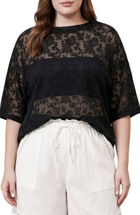 Standards & Practices Lace Top in Black at Nordstrom, Size 3X