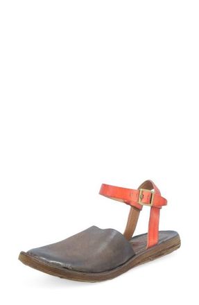 A.S.98 Rodrick Ankle Strap Flat in Chocolate at Nordstrom, Size 10.5-11Us