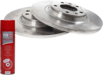 OEM Discos De Freno Traseros 24011201621-pcs-ms 2 Piezas