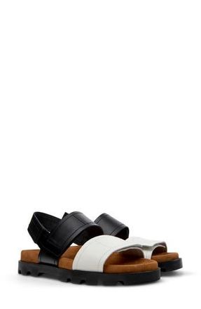 Camper Brutus Sandal in Black Multi Assorted at Nordstrom Rack, Size 39