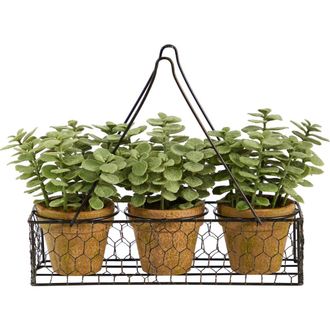 Nearly Natural 7-in Mini Jade Garden Artificial Plant in Hanging Planter in Green at Nordstrom