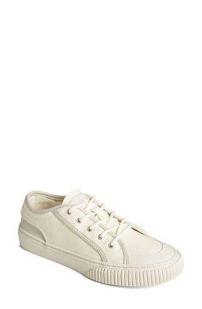 Sperry Top-Sider Astor Seacycled Low Top Sneaker in White at Nordstrom Rack, Size 7