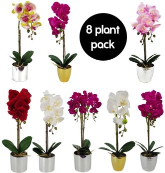 Leaf Pack of 8 Artificial Orchids in Silver Pots