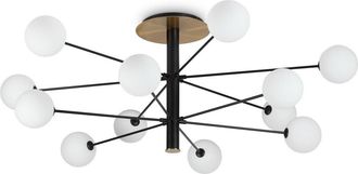 Netlighting Cosmopolitan 12 Arm Multi Arm Semi Flush Ceiling Light Black