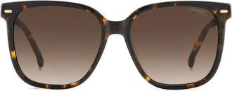 Carrera Donna, Accessori, Marrone, Taglia unica, new