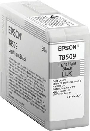 Epson Cartucho Impresora Epson C13t850900