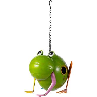 Glitzhome 9L Metal Glossy Frog Outdoor Garden Birdhouse in Green at Nordstrom, Size Medium