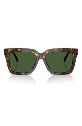Versace 55mm Square Sunglasses in Havana /Dark Grey at Nordstrom