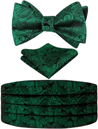 Alizeal Mens Classic Paisley Woven Self-tied Adjustable Bow Tie, Cummerbund and Pocket Square Set, Dark Green