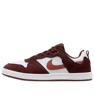 Nike (WMNS) Nike SB Alleyoop Mystic Dates Claystone Red CQ0369-601