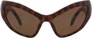 Balenciaga 59mm Cat Eye Sunglasses in Havana Havana Brown at Nordstrom Rack