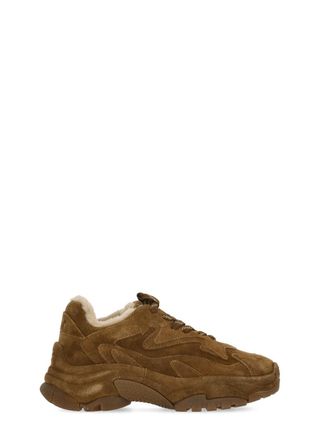 Ash Brown Addict Shearling Suede Sneakers
