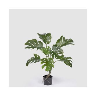 OEM Edg Enzo De Gasperi Monstera Planta Artificial Con Maceta H100 Cm