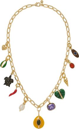 Roxanne Assoulin The Multicharm Chain Necklace at Nordstrom