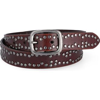 OLD TREND Westland Genuine Leather Desert Inspired Studded Belt in Coffee at Nordstrom, Size Medium