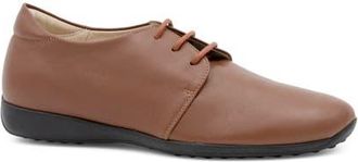 Amalfi By Rangoni Jasmine Derby in Castagna Vapor at Nordstrom, Size 7.5