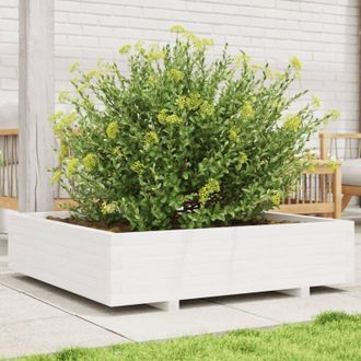 vidaXL Jardinera Madera Maciza De Pino Blanco 100x100x26,5 Cm Vidaxl