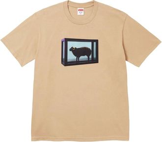 SUPREME x Damien Hirst T-shirt con stampa - Toni neutri