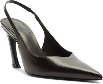Schutz Lexi Slingback Pointed Toe Pump in Dark Brown at Nordstrom, Size 6.5