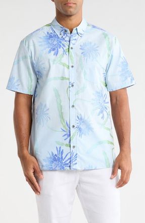 Kahala Night Shades Print Cotton Short Sleeve Button-Down Shirt in Silver Blue at Nordstrom, Size Xx-Large
