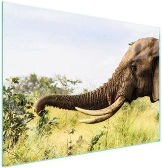 OEM Placa Protectora De Vidrio Para Estufa 70x52 Elefante