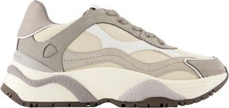 Philippe Model Odeon Low Sneakers