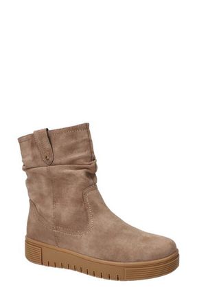 Bella Vita Ava Slouch Bootie in Taupe at Nordstrom, Size 5.5